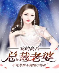 我的高冷总裁老婆小说免费